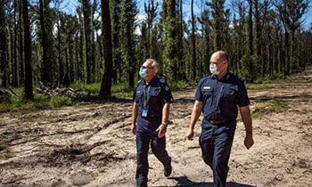 Police officers walking through bushland in East Gippsland