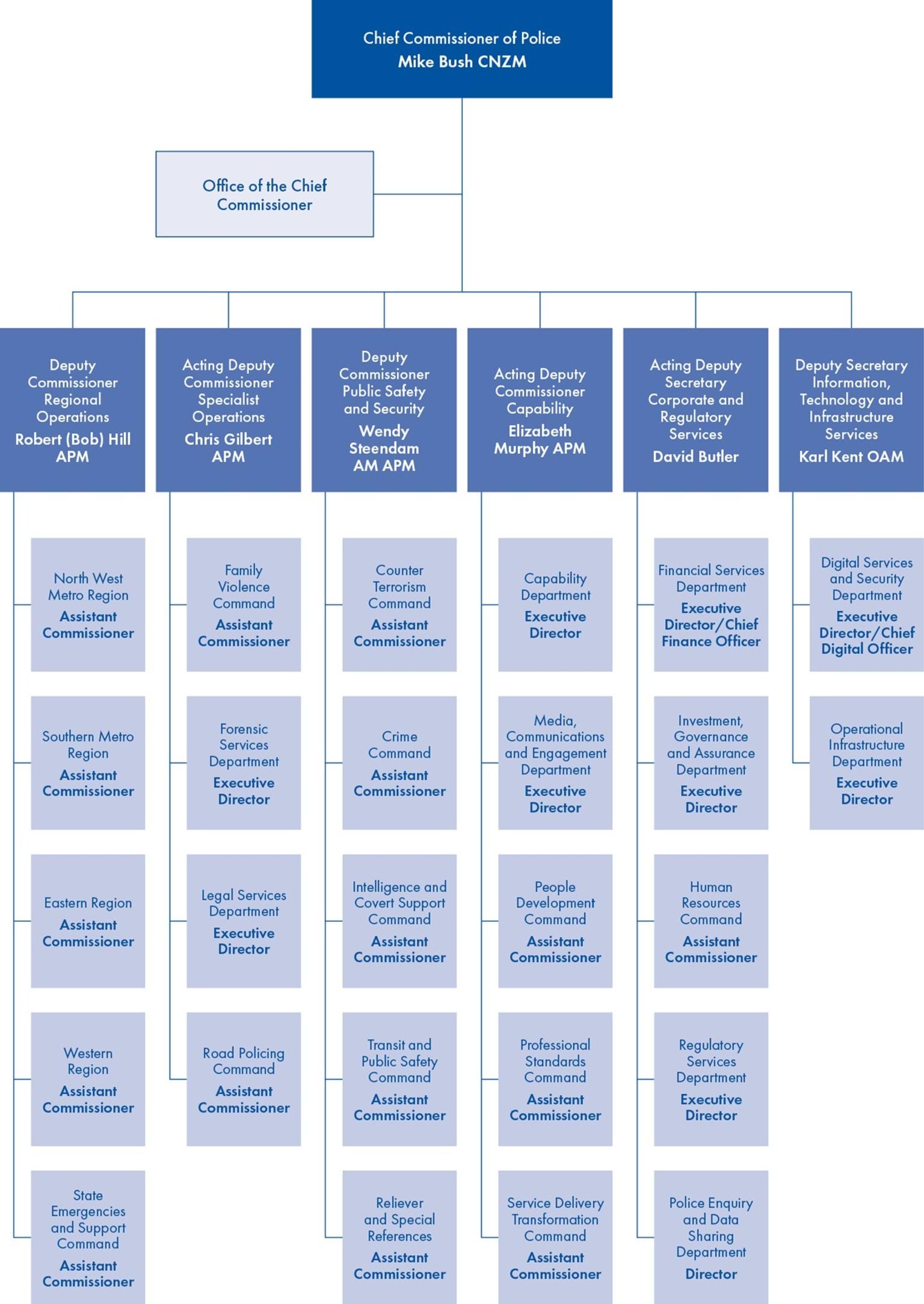 An organisational chart structured vertically showing visually the information which is set out in text in Our organisational structure.